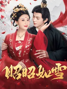 昭昭如雪