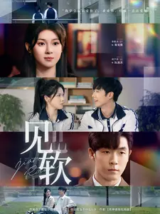 见软